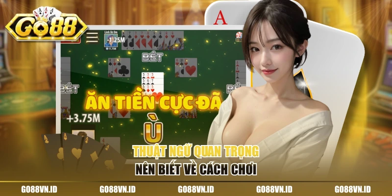 Thuật ngữ quan trọng nên biết về cách chơi